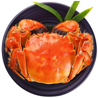 今旺阳澄湖大闸蟹严选精品鲜活螃蟹 公蟹4两 母蟹2.8两 4对8只装活蟹贵宾精致礼包装