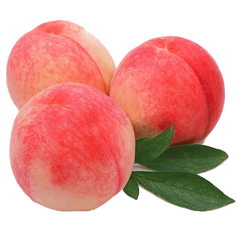五个农民新鲜水蜜桃5斤带箱装(单果克重150g+)装现摘脆桃毛桃季新鲜现摘自营生鲜水果毛桃子孕妇应季油脆甜桃整箱