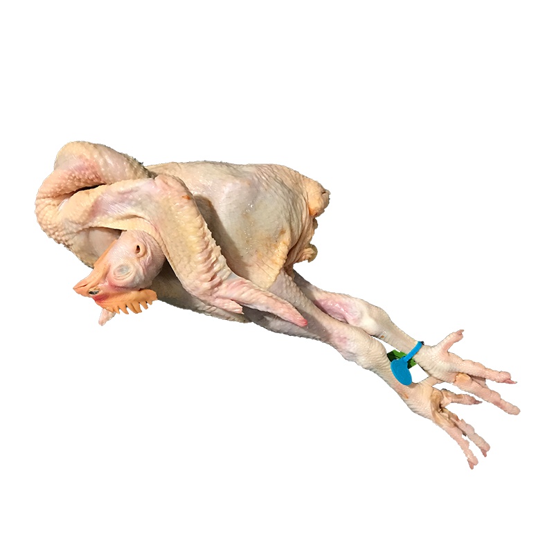 [土度高端系列]童子鸡约2斤 整鸡 规格标准 大小均匀 适合儿童吃 有助于长个 0.95 鸡肉