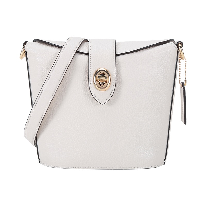 蔻驰 COACH 女士 鹅卵石纹皮革ADDIE单肩斜挎包C2814