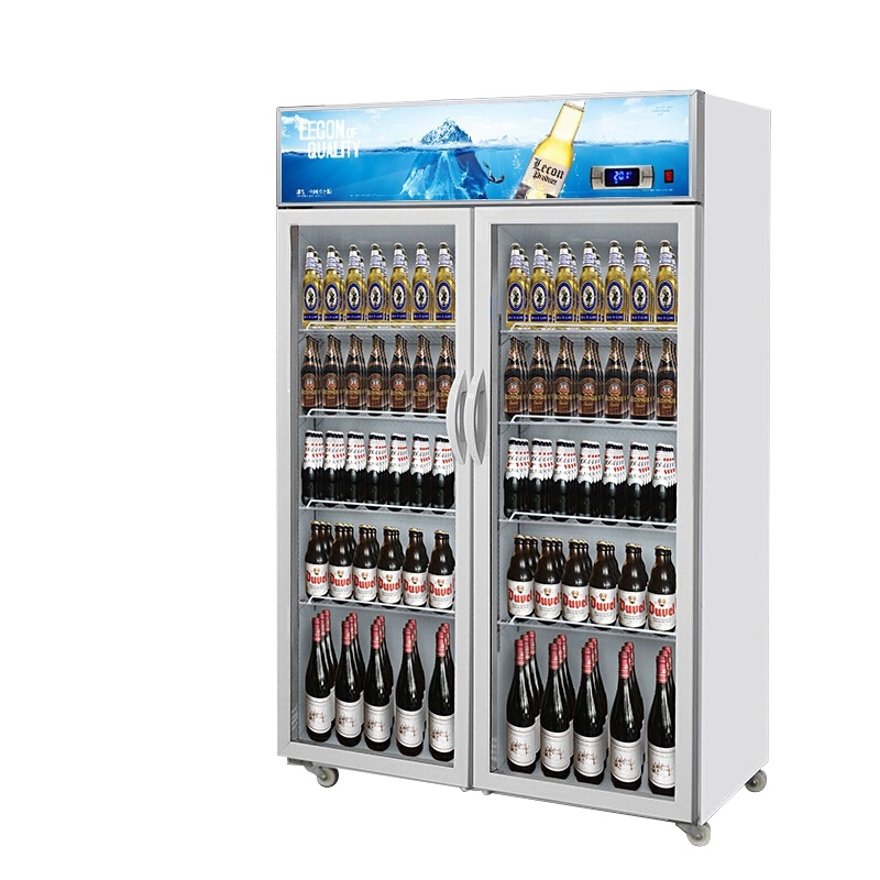 乐创(lecon) 饮料柜展示柜冷藏柜立式冰柜商用冰箱饮品啤酒蔬菜水果保鲜冷柜鲜花柜陈列柜 双门风冷上机组普通门星光蓝