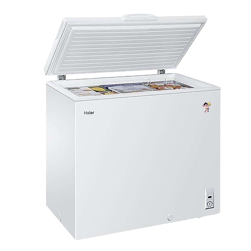 203升冰柜BC/BD-203D 台