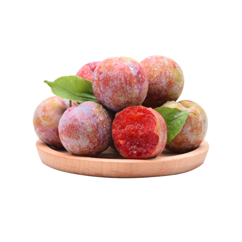 [西沛生鲜]国产李子 福建古田芙蓉李 现摘现发精选 超大果 礼盒装 4.5-5斤 新鲜水果