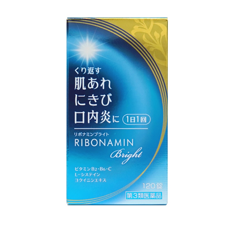 日本小林薬品口腔炎片 120片