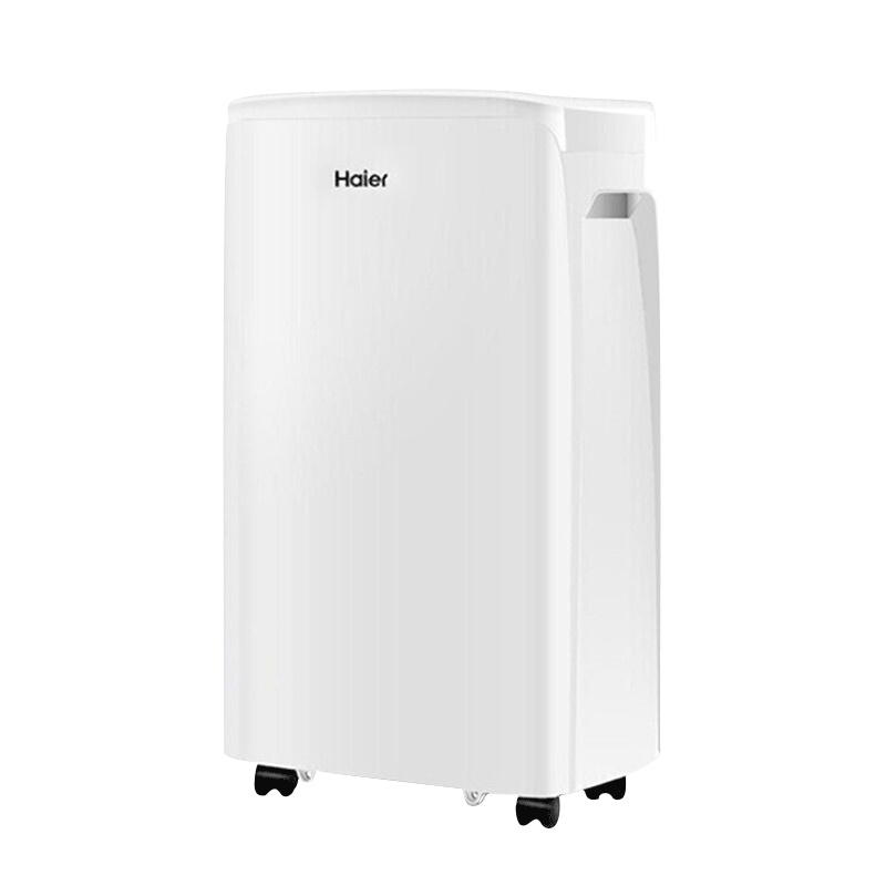 海尔(Haier)除湿机DE12A 日除湿12升/天干衣净化家用静音抽湿机吸湿器除湿器空气干燥机适用30-60m²