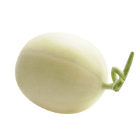 海南东方蜜瓜 2个装 单果重量约400-600g 新鲜水果