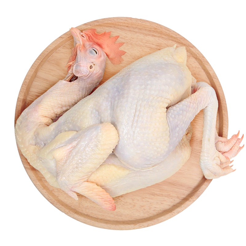 天农优品TINOO S DELICIOUS 国产 清远市 供港散养农家土鸡 1000g/只 冰鲜禽肉 简装