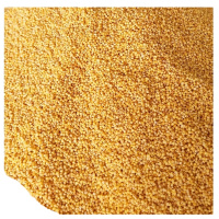 [江苏乡村振兴][财政集采][丰县]师寨黄小米1斤真空包装 买5袋送1袋