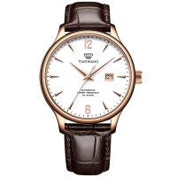 天王表(TIANWANG)手表 正品手表男士自动机械表时尚休闲皮带腕表防水简约男表GS5844