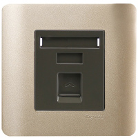 施耐德电气（Schneider Electric）开关插座 单联电话插座 墙壁电话面板弱电插座 轻点 格调棕