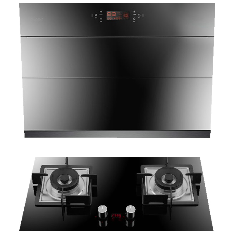 Haotaitai 好太太电器 油烟机灶具套装双眼燃气灶脱排烟灶套装 J911+2319 液化气