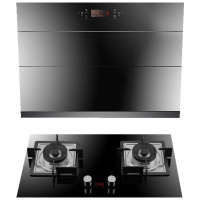 Haotaitai 好太太电器 油烟机灶具套装双眼燃气灶脱排烟灶套装 J911+2319 液化气