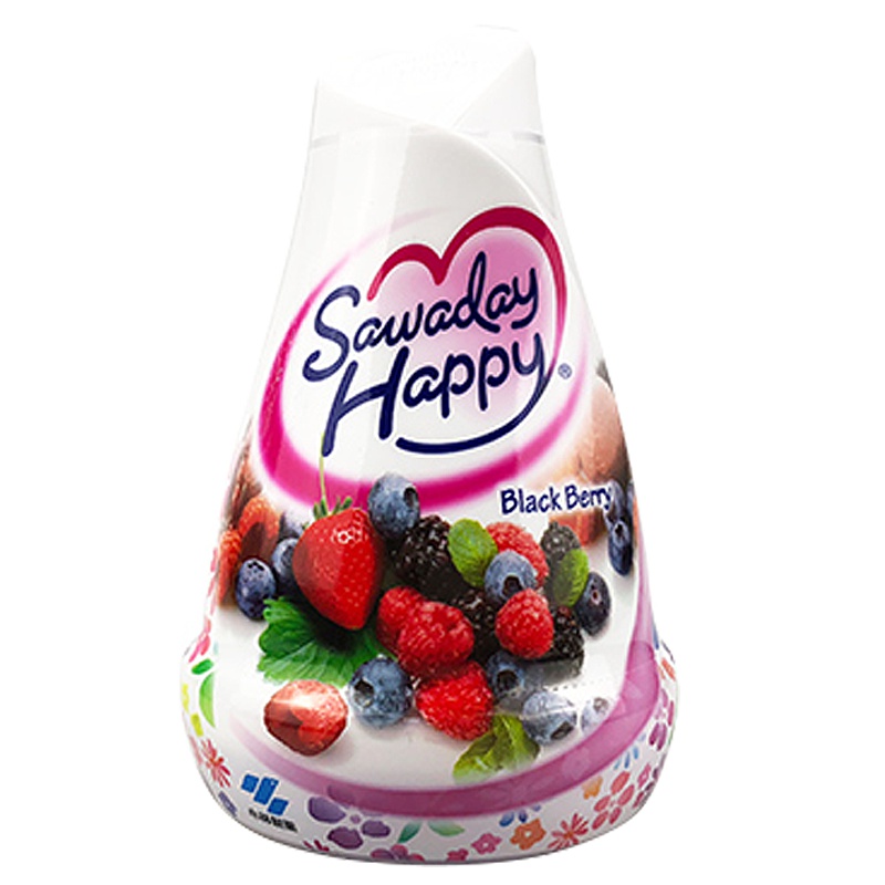 [日本原装]小林制药(KOBAYASHI) 固体清香剂0.15kg 空气清新剂 芳香剂除臭汽车香水 黑莓香 150g