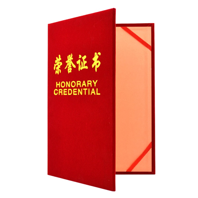 竹林雨 荣誉证书 8K F1161 70221