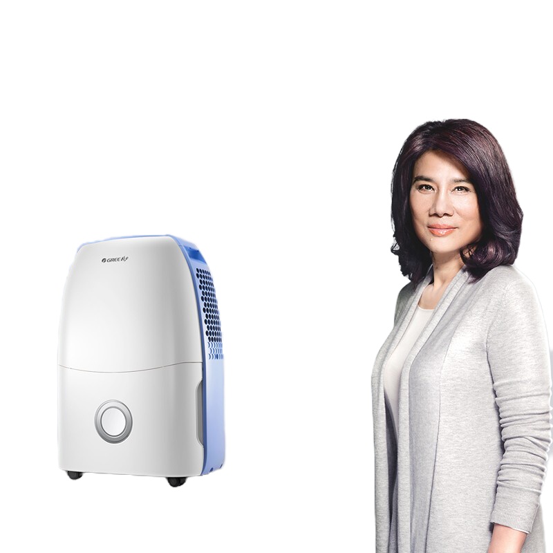 格力(GREE)抽湿机_除湿机 家用卧室办公室静音干衣除湿器12升_天 适用面积18-22平方米 卧室(DH12EA)
