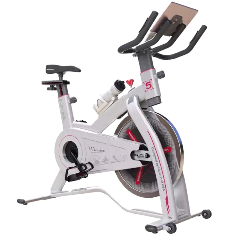 亚新鸿(SWORDMAN) 动感单车 CM-123D-B室内静音健身脚踏车