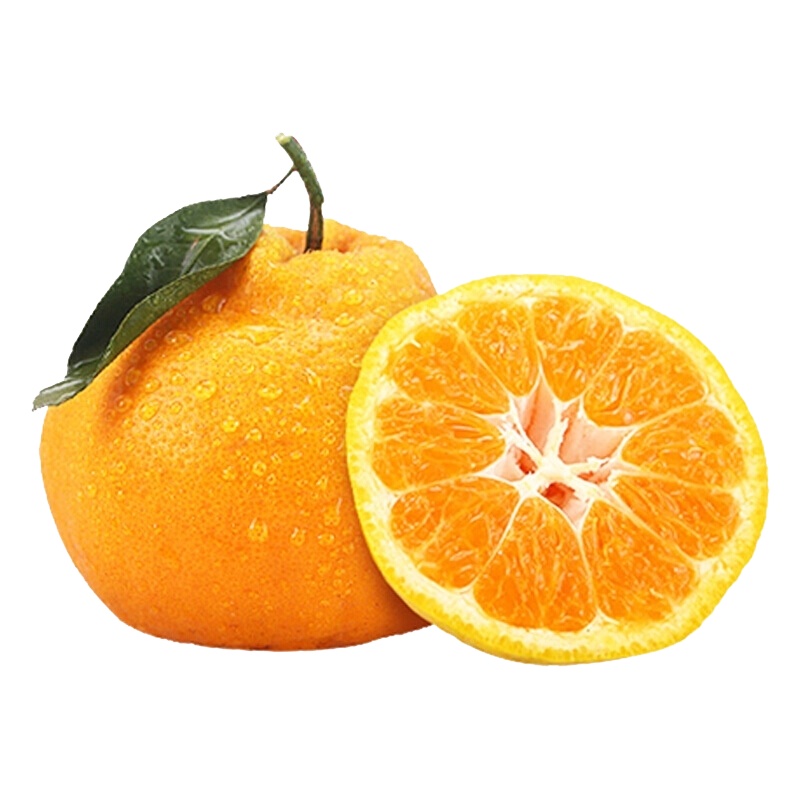 [果园现摘现发]四川高山丑橘 不知火丑橘 新鲜水果 酸甜橘子