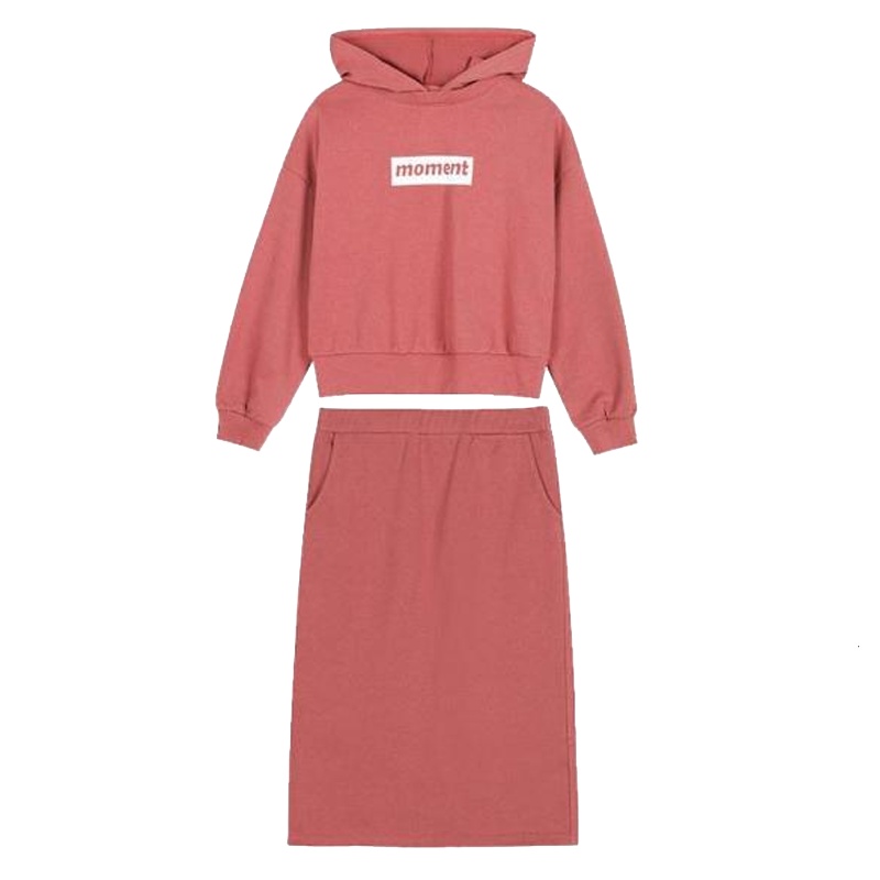 【专柜同款】韩版连帽卫衣半身裙时尚套装2019冬季新款女装显瘦气质时尚两件套30094310