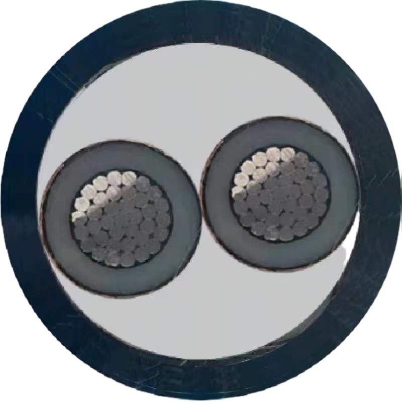 秦源牌 YJLV-0.6/1KV-2*6mm² 铝芯低压电力电缆 元/米 定制商品 联系客服