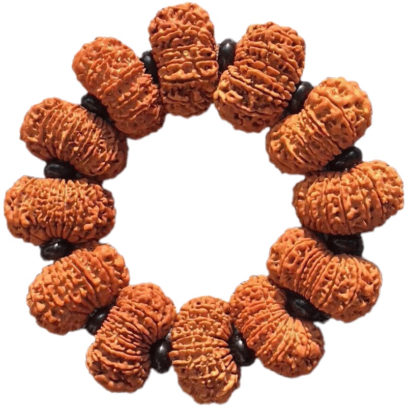 梵心阁 孤品尼泊尔十二瓣大金刚菩提手串元宝桩姜黄皮颗颗精选毕业9瓣 10瓣 12瓣 孤品九瓣