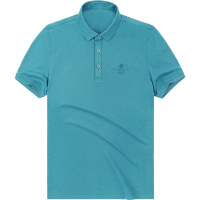 布先生新款春夏POLO衫短袖T恤 翻领商务中年棉质男款AT10892