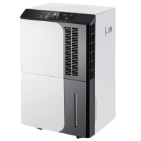 朗瑞安除湿机(台)