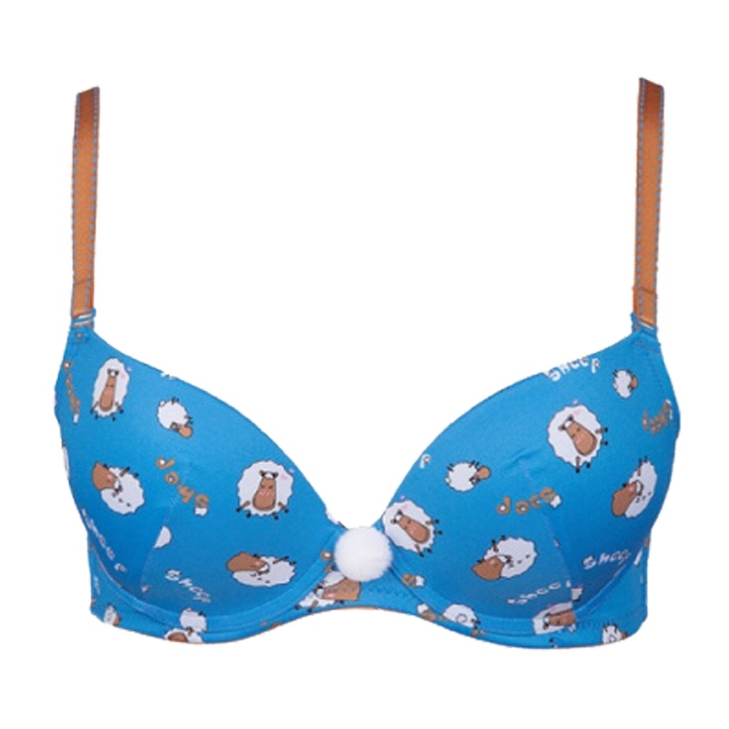 BLOSS/古今花3/4小胸光面上薄下厚聚拢少女文胸内衣0FS59