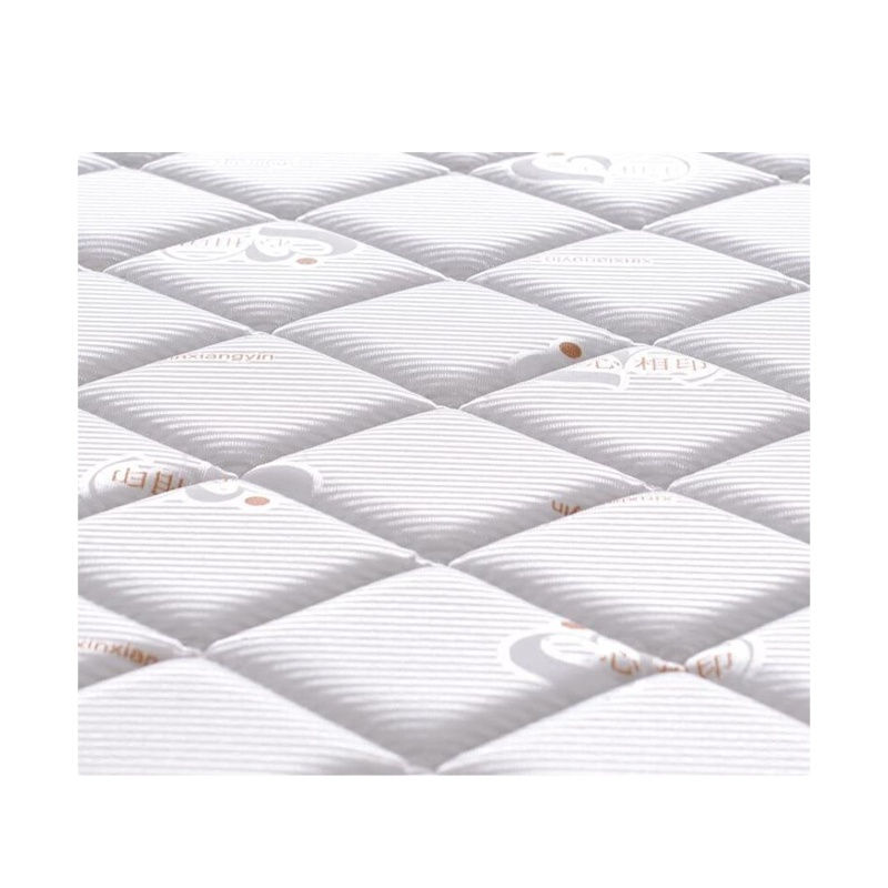 正鹏教学设备 天然椰棕床垫棕垫(硬棕)A306 70*2000*1000 59883