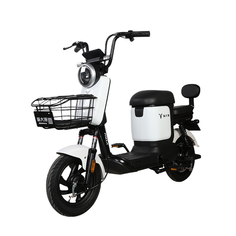 派乐/PALLA电动车 KX 新国标电瓶车48V12AH男女士成人踏板代步车两轮电动自行车 油光白色