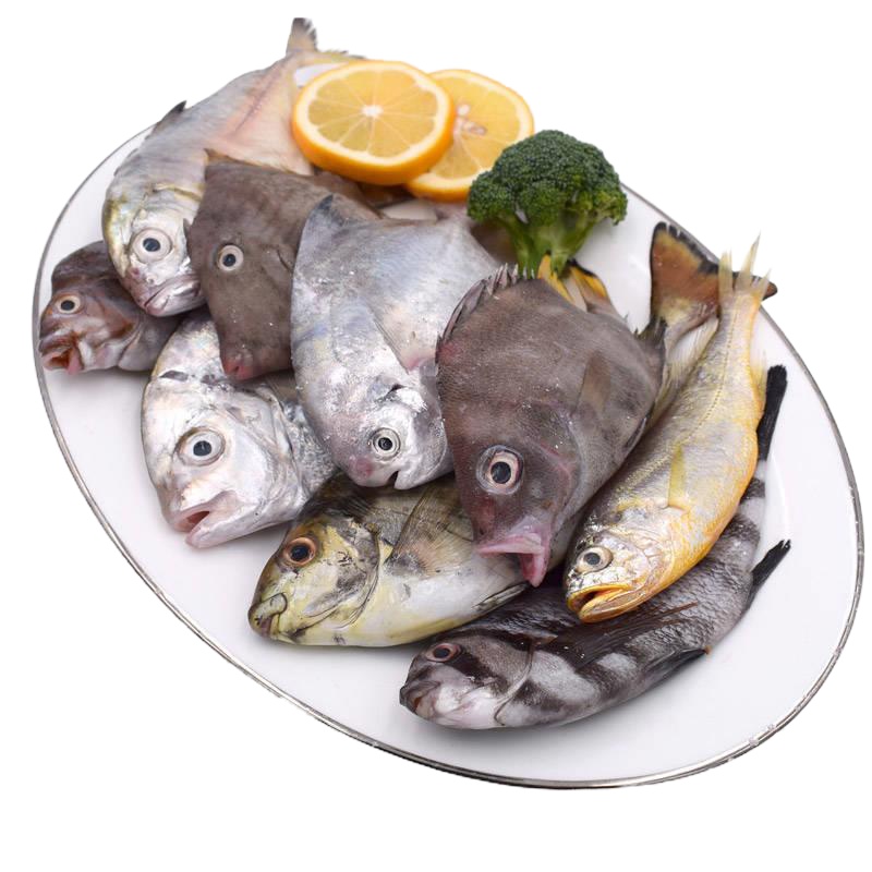 1500g新鲜鱼货速冻海捕海杂鱼随机组合深海鱼水产鲳鱼红头鱼