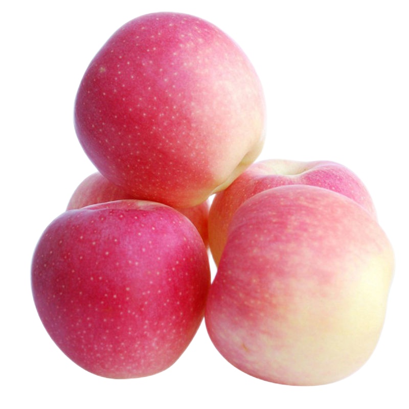 [精选嘎啦果]山西嘎啦苹果水果新鲜当季批发一整箱10斤/5斤