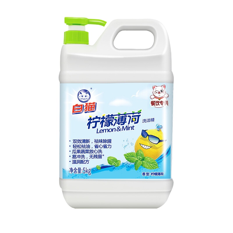 洗洁精500g*30瓶(123)