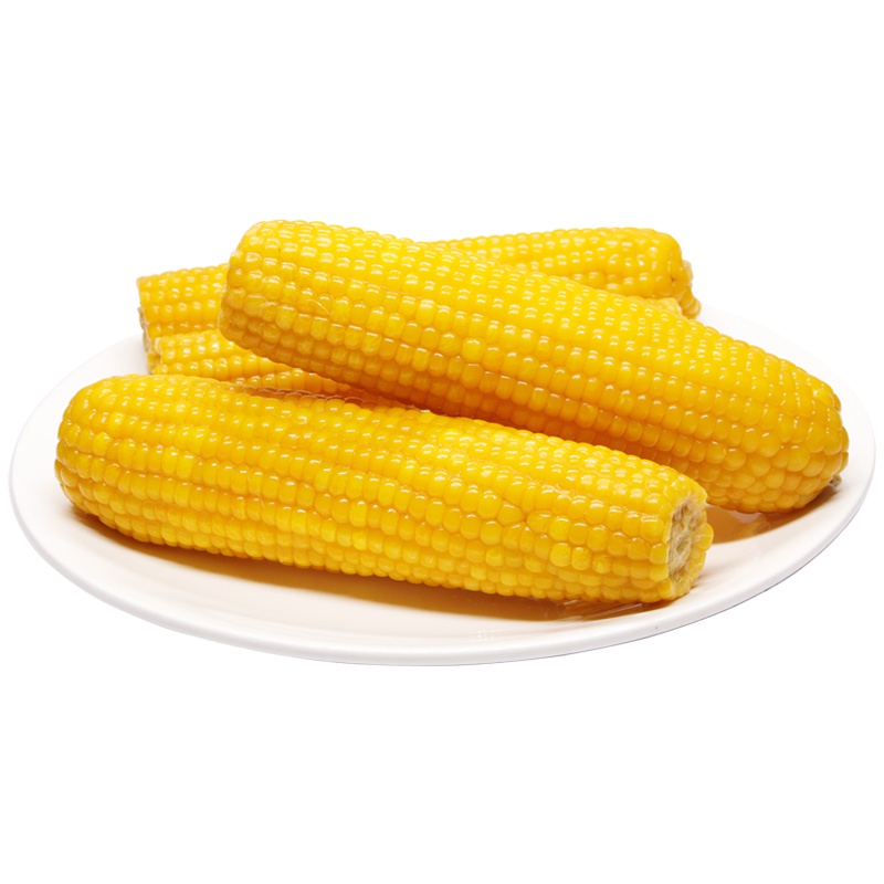 闲居人 东北甜糯黄玉米棒 真空袋装糯玉米 新鲜黏玉米 实惠礼盒装200g*10支 黄金玉米箱装