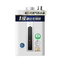 A.O.史密斯 家用燃气快速热水器 室内强制排气式 JSQ26-CSCX