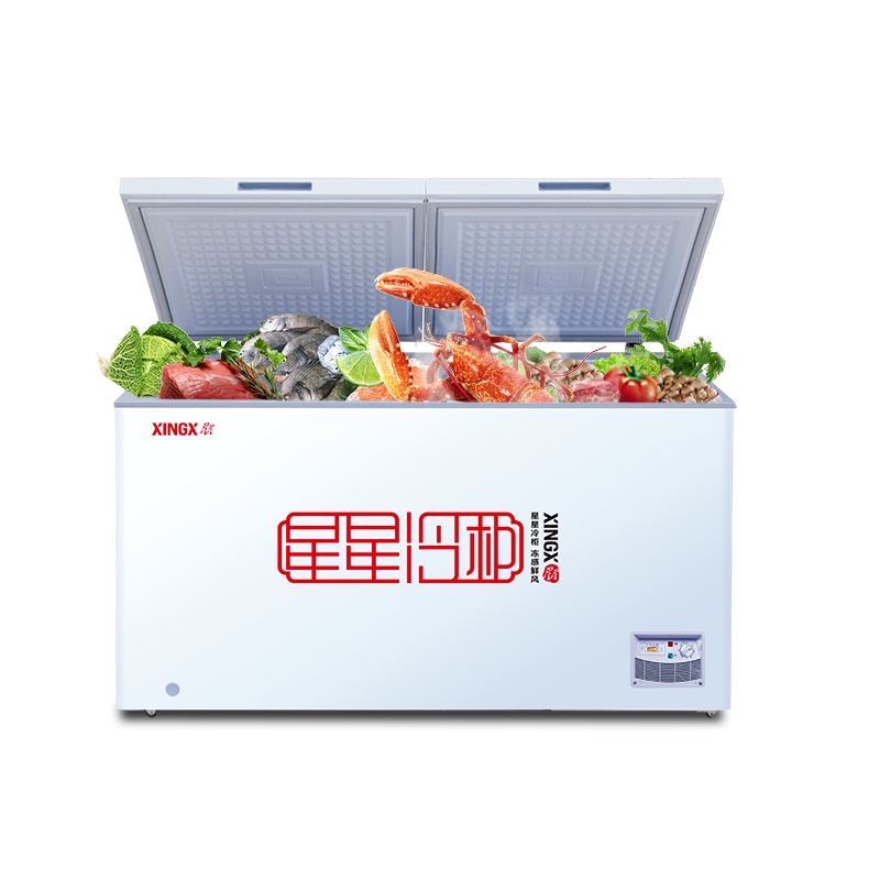星星(XINGX)BD/BC-480E 480升厨房商用保鲜设备 大容量冰柜卧式冷柜冷藏保鲜冷冻两用柜