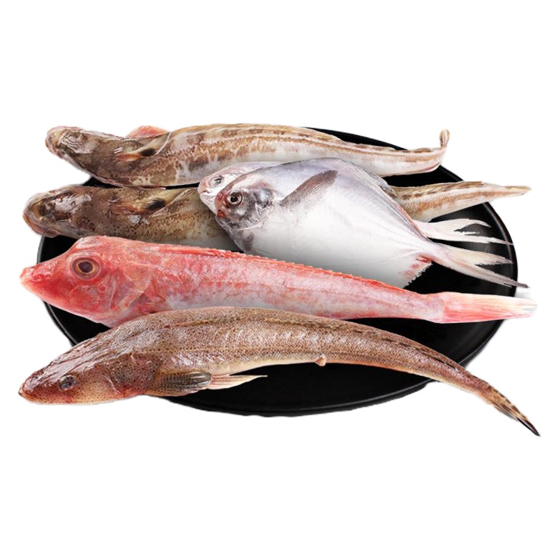 去腮去内脏海杂鱼新鲜速冻海鱼石斑鱼红头鱼海鲶鱼辫子鱼 [3斤装]