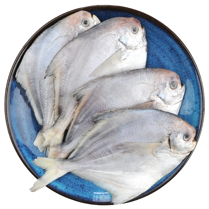 纯色本味 舟山三去鲳鱼 白鲳 400g/袋 (去腮去鳞去内脏) 海鲜水产