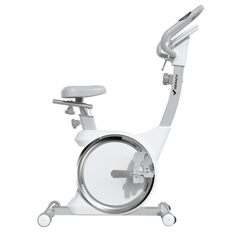 银月动感单车家用静音健身车自行车减肥室内器材健身房运动 磁控飞轮-八档阻力调节-抖音网红款