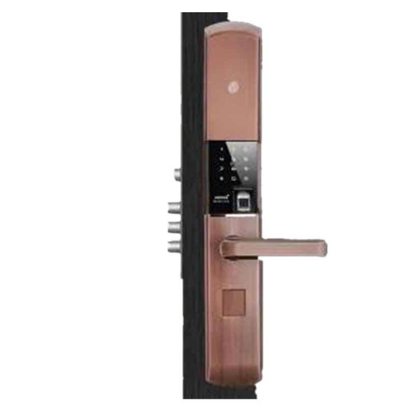 新品香槟金人脸识别指纹锁家用防盗门密码锁电子智能门锁防盗锁