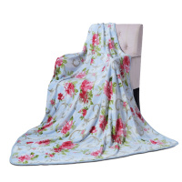 富安娜家纺 单层法兰绒毯HJ-60 单个装