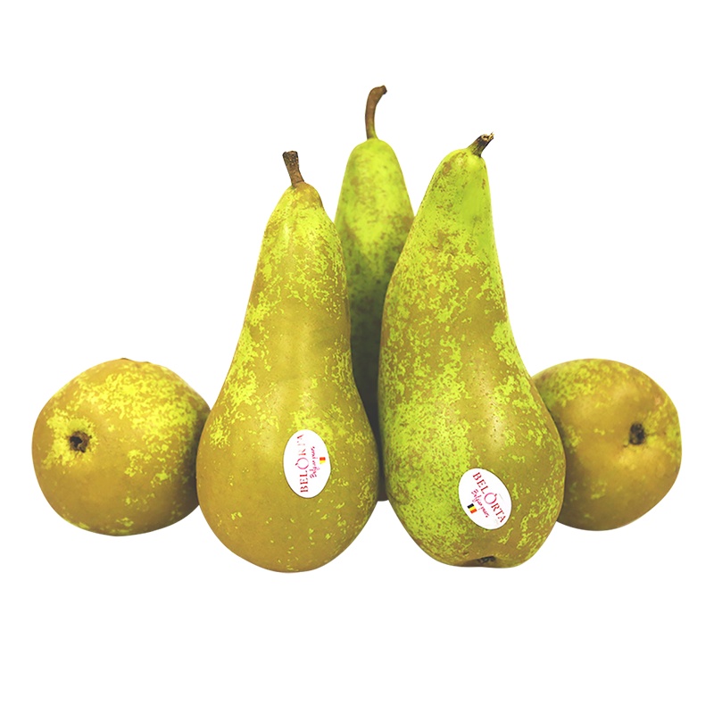 佳农比利时进口啤梨8粒装梨子新鲜水果整箱 进口水果