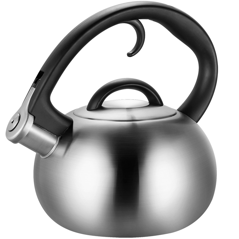 铂帝斯(BODEUX) 卢瓦尔304不锈钢水壶3L 电磁炉燃气通用烧水壶 水开鸣笛