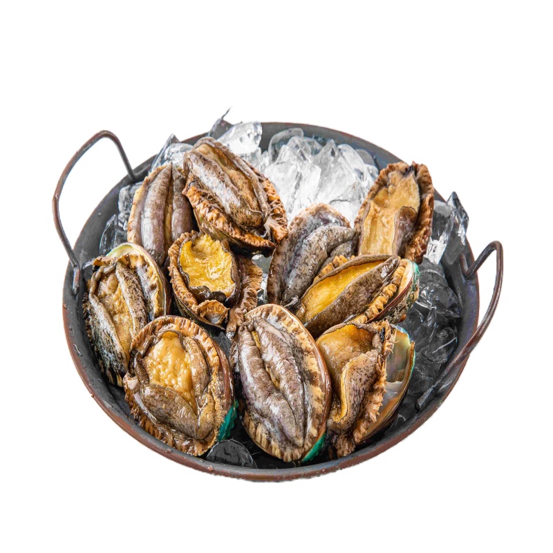 明盛恒海 甄选活鲍8头鲍/3斤