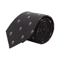 ALEXANDER MCQUEEN 亚历山大·麦昆 男士 桑蚕丝领带165724 4Q053