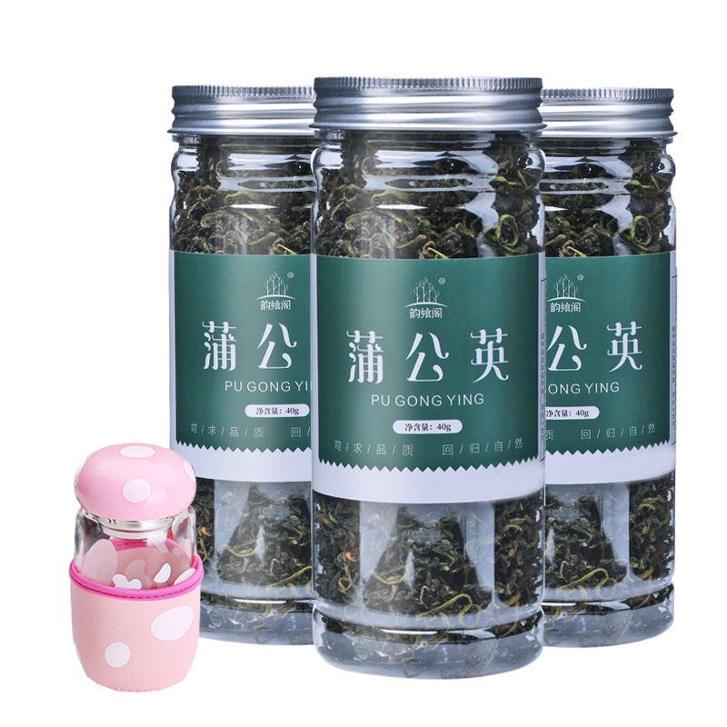 蒲公英40g/3罐装+蘑菇杯 买1发3蒲公英茶浦公英薄公英带根婆婆丁根茶长白山茶叶罐装花茶