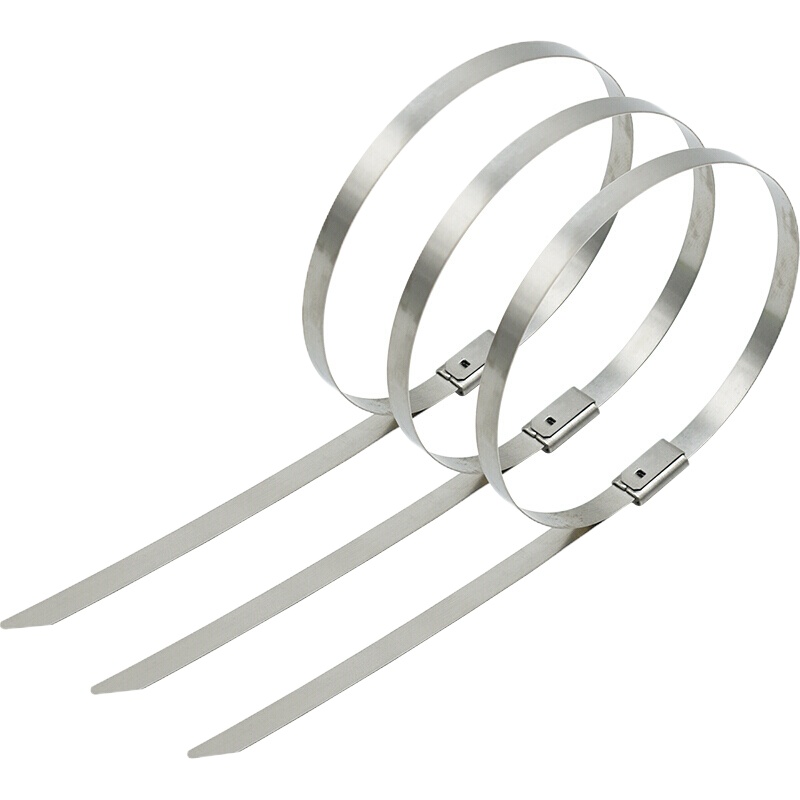 合威 不锈钢扎带7.9*600mm(单位:包,100根/包)