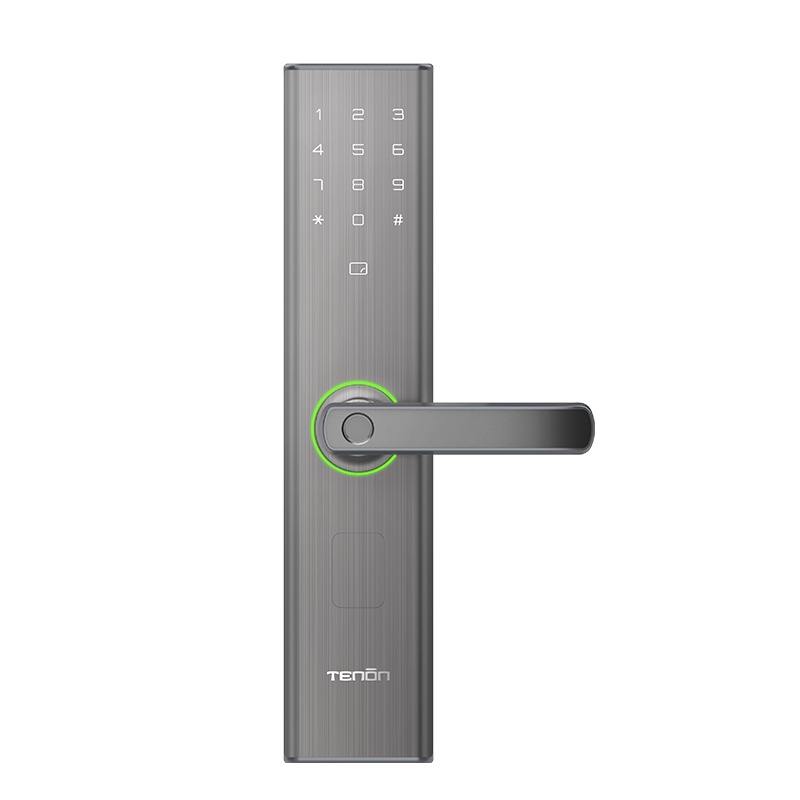 亚太天能智能门锁E5C 枪金黑