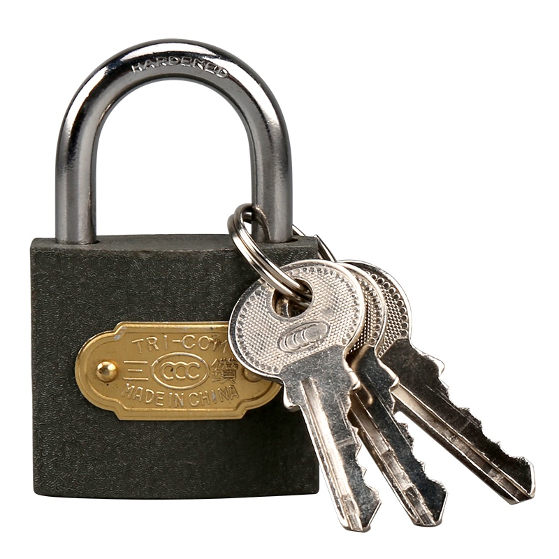 赛拓(SANTO) 铁挂锁套装 抽屉锁柜门锁防盗窗锁 水电表箱锁旅行箱包锁中号38mm0074-T可定制通开100把起