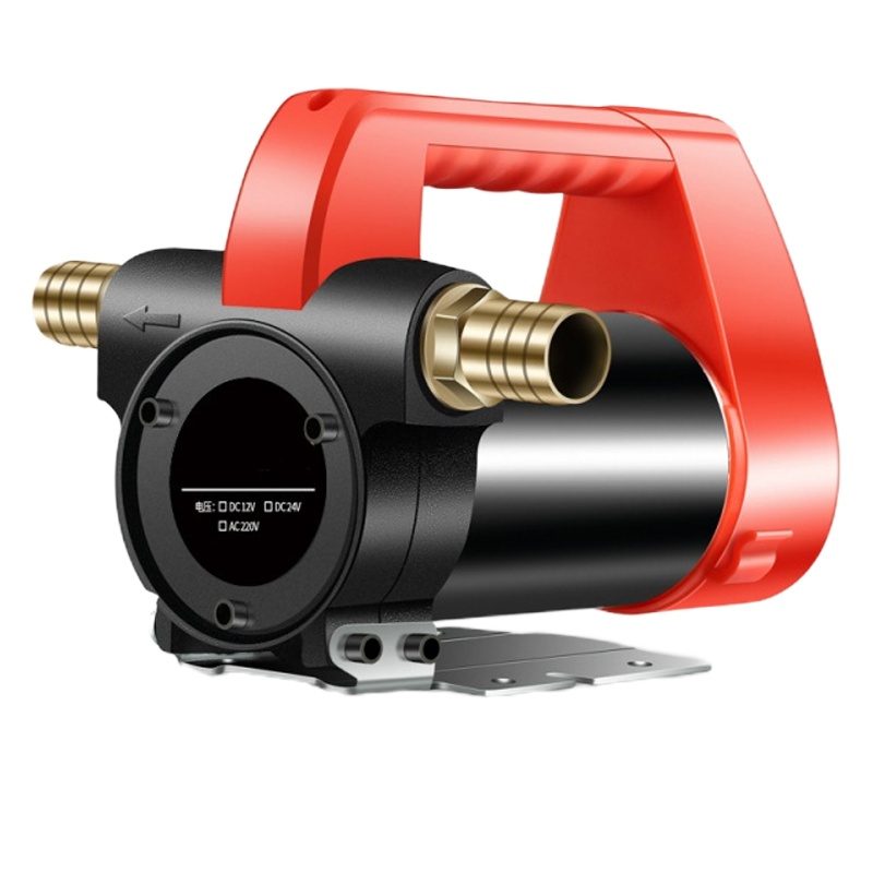 闪电客电动抽油泵12V24V220伏自吸柴油泵加油机自动油泵车载抽油器小型 家用款220V单转+6米软管