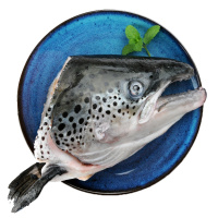 纯色本味 冷冻智利三文鱼头（大西洋鲑）整只 400g/袋 烧烤煲汤食材 海鲜水产